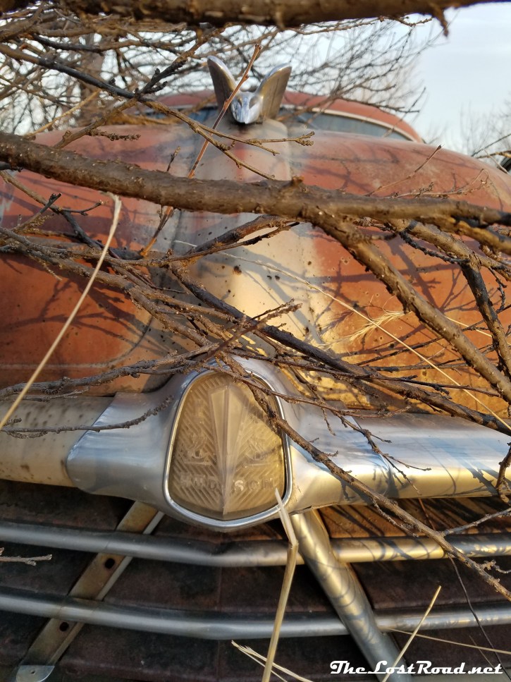 1950hudsoncommodore-shield-20161230lr