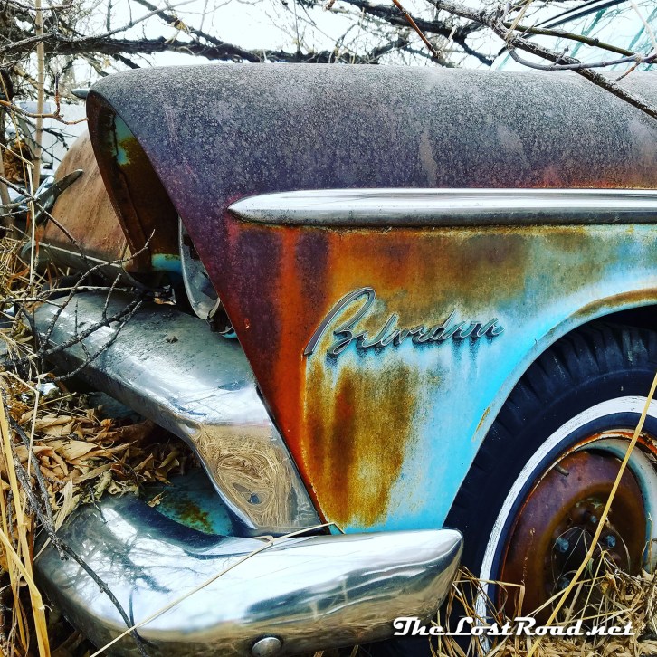 1955plymouth-belvedere20161221lr