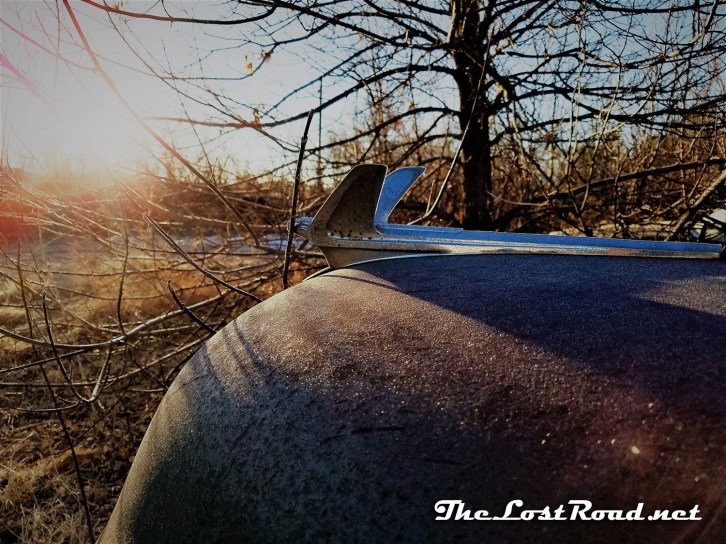 Soaring in to the Sun